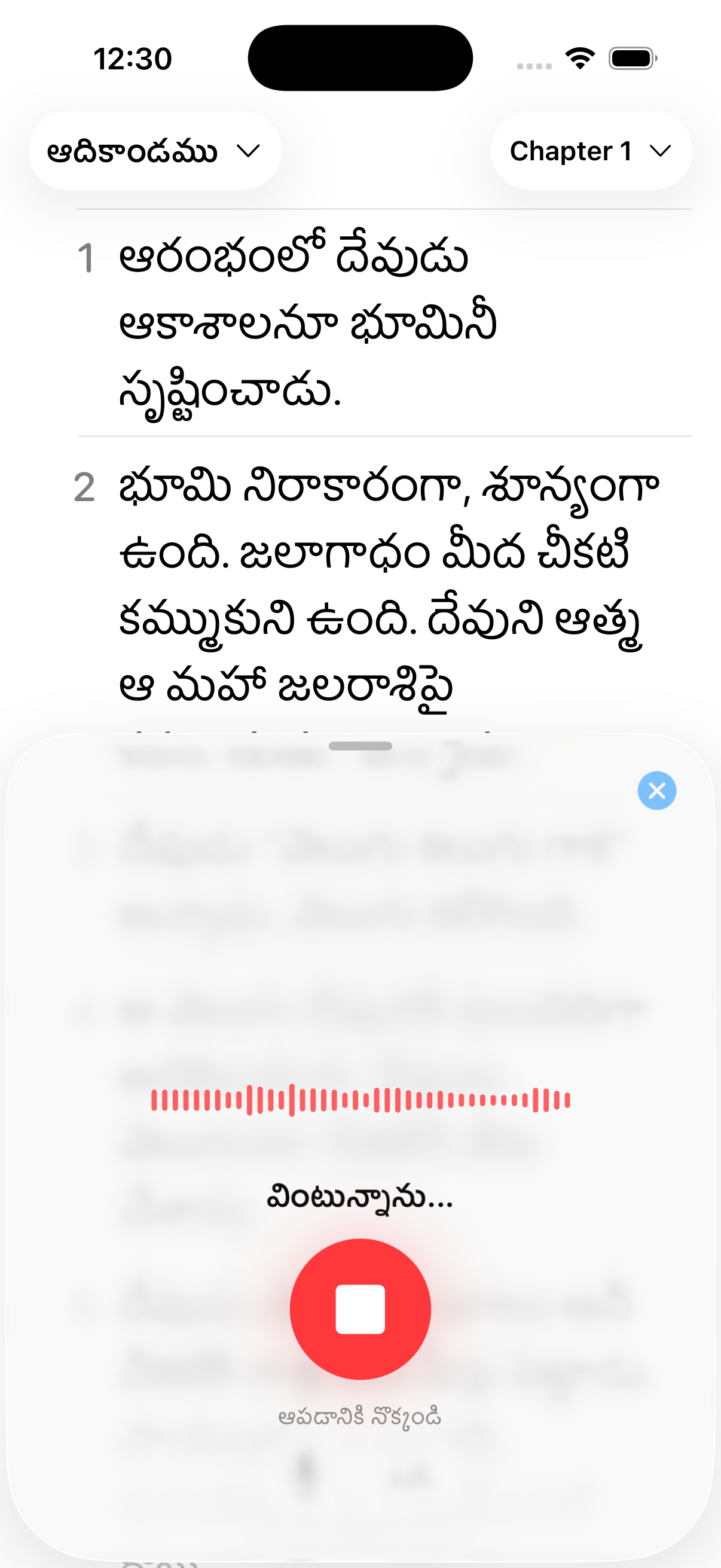 Voice navigation interface